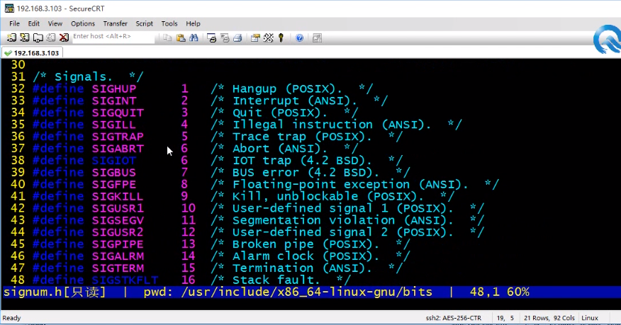 image-20230809142917852